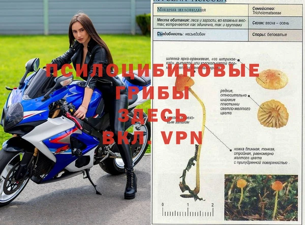 первитин Белоозёрский